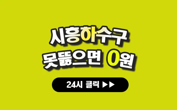 시흥하수구막힘 시흥시하수구막힘 시흥싱크대막힘 시흥시싱크대막힘 시흥시변기막힘 시흥변기막힘 프로설비 안내 이미지