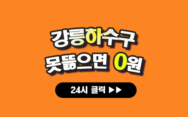 강릉하수구막힘 강릉싱크대막힘 강릉변기막힘 강릉고압세척 강릉변기교체 강릉하수구역류 강릉누수탐지 뚫음 전문 설비업체 프로설비 썸네일