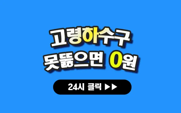 고령하수구막힘 고령싱크대막힘 고령변기막힘 고령고압세척 고령변기교체 고령하수구역류 고령누수탐지 뚫음 전문 설비업체 프로설비 썸네일