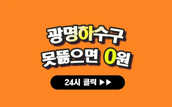 광명하수구막힘 광명싱크대막힘 광명변기막힘 광명고압세척 광명변기교체 광명하수구역류 광명누수탐지 뚫음 전문 설비업체 프로설비 썸네일 광명하수구막힘 광명싱크대막힘 광명변기막힘 광명고압세척 광명변기교체 광명하수구역류 광명누수탐지 뚫음 전문 설비업체 프로설비 썸네일