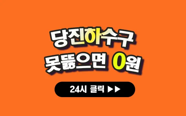 당진하수구막힘 당진싱크대막힘 당진변기막힘 당진고압세척 당진변기교체 당진하수구역류 당진누수탐지 뚫음 전문 설비업체 프로설비 썸네일