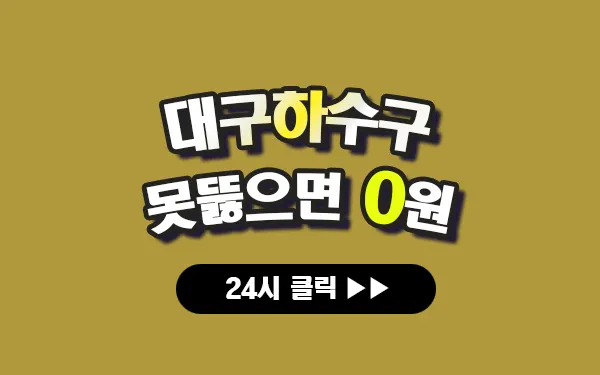 대구하수구막힘 대구싱크대막힘 대구변기막힘 대구고압세척 대구변기교체 대구하수구역류 대구누수탐지 뚫음 전문 설비업체 프로설비 썸네일