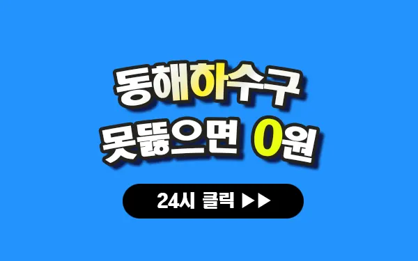 동해하수구막힘 동해싱크대막힘 동해변기막힘 동해고압세척 동해변기교체 동해하수구역류 동해누수탐지 뚫음 전문 설비업체 프로설비 썸네일
