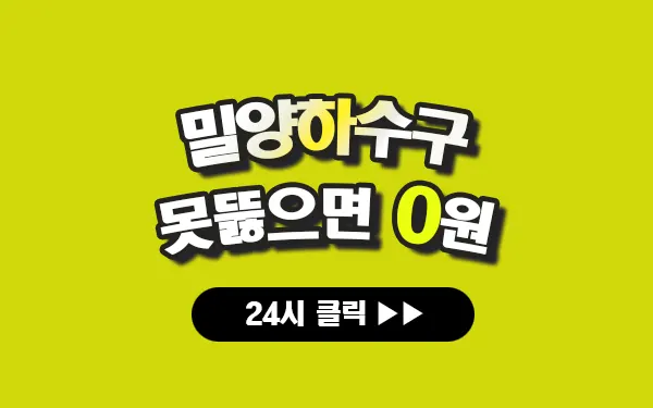 밀양하수구막힘 밀양싱크대막힘 밀양변기막힘 밀양고압세척 밀양변기교체 밀양하수구역류 밀양누수탐지 뚫음 전문 설비업체 프로설비 썸네일