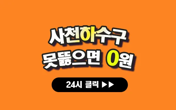 사천하수구막힘 사천싱크대막힘 사천변기막힘 사천고압세척 사천변기교체 사천하수구역류 사천누수탐지 뚫음 전문 설비업체 프로설비 썸네일
