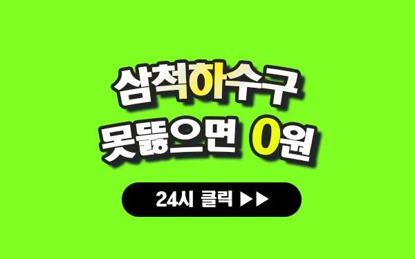 삼척하수구막힘 삼척싱크대막힘 삼척변기막힘 삼척고압세척 삼척변기교체 삼척하수구역류 삼척누수탐지 뚫음 전문 설비업체 프로설비 썸네일