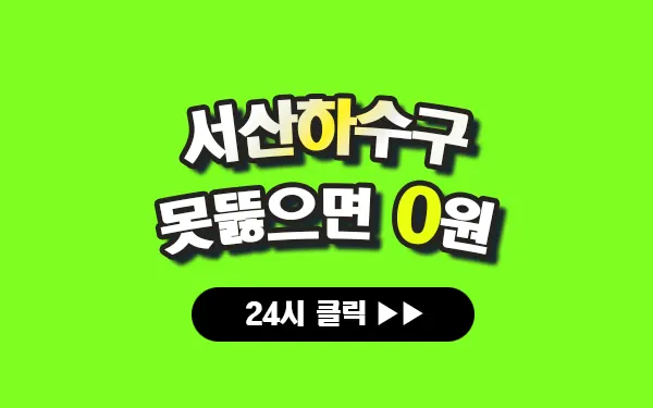 서산하수구막힘 서산싱크대막힘 서산변기막힘 서산고압세척 서산변기교체 서산하수구역류 서산누수탐지 뚫음 전문 설비업체 프로설비 썸네일