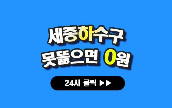 세종하수구막힘 세종싱크대막힘 세종변기막힘 세종고압세척 세종변기교체 세종하수구역류 세종누수탐지 뚫음 전문 설비업체 프로설비 썸네일