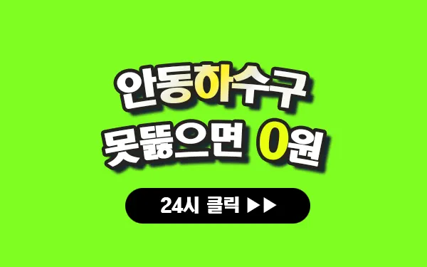 안동하수구막힘 안동싱크대막힘 안동변기막힘 안동고압세척 안동변기교체 안동하수구역류 안동누수탐지 뚫음 전문 설비업체 프로설비 썸네일