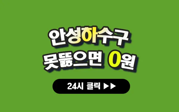 안성하수구막힘 안성싱크대막힘 안성변기막힘 안성고압세척 안성변기교체 안성하수구역류 안성누수탐지 뚫음 전문 설비업체 프로설비 썸네일 안성하수구막힘 안성싱크대막힘 안성변기막힘 안성고압세척 안성변기교체 안성하수구역류 안성누수탐지 뚫음 전문 설비업체 프로설비 썸네일