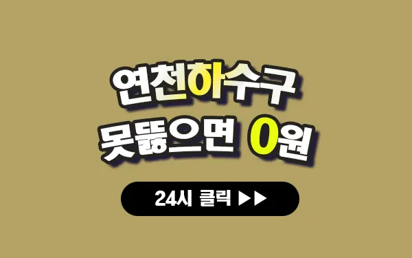 연천하수구막힘 연천싱크대막힘 연천변기막힘 연천고압세척 연천변기교체 연천하수구역류 연천누수탐지 뚫음 전문 설비업체 프로설비 썸네일 연천하수구막힘 연천싱크대막힘 연천변기막힘 연천고압세척 연천변기교체 연천하수구역류 연천누수탐지 뚫음 전문 설비업체 프로설비 썸네일