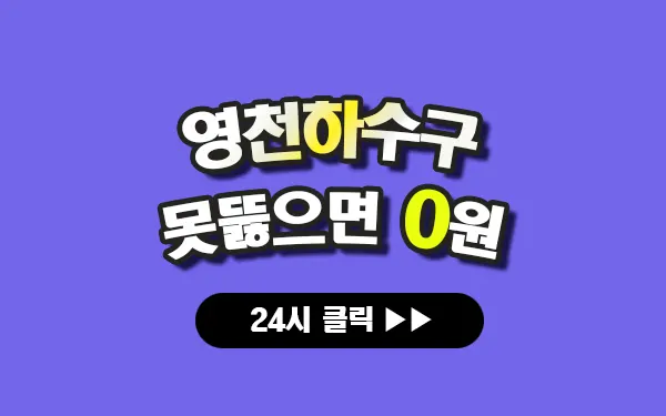 영천하수구막힘 영천싱크대막힘 영천변기막힘 영천고압세척 영천변기교체 영천하수구역류 영천누수탐지 뚫음 전문 설비업체 프로설비 썸네일