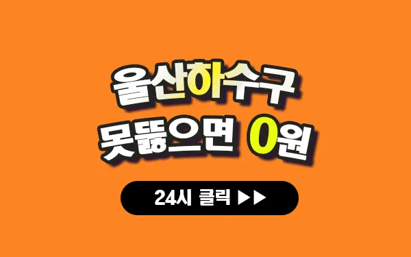 울산하수구막힘 울산싱크대막힘 울산변기막힘 울산고압세척 울산변기교체 울산하수구역류 울산누수탐지 뚫음 전문 설비업체 프로설비 썸네일