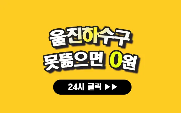울진하수구막힘 울진싱크대막힘 울진변기막힘 울진고압세척 울진변기교체 울진하수구역류 울진누수탐지 뚫음 전문 설비업체 프로설비 썸네일