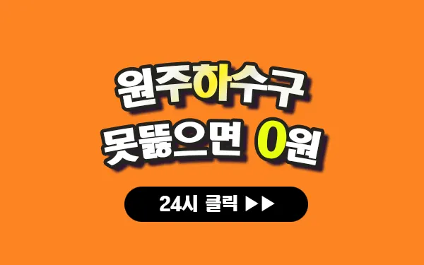 원주하수구막힘 원주싱크대막힘 원주변기막힘 원주고압세척 원주변기교체 원주하수구역류 원주누수탐지 뚫음 전문 설비업체 프로설비 썸네일