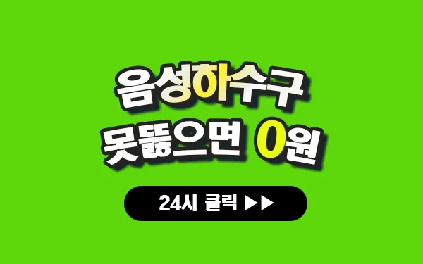 음성하수구막힘 음성싱크대막힘 음성변기막힘 음성고압세척 음성변기교체 음성하수구역류 음성누수탐지 뚫음 전문 설비업체 프로설비 썸네일