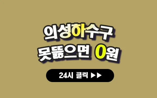 의성하수구막힘 의성싱크대막힘 의성변기막힘 의성고압세척 의성변기교체 의성하수구역류 의성누수탐지 뚫음 전문 설비업체 프로설비 썸네일