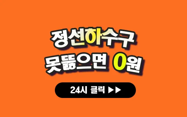 정선하수구막힘 정선싱크대막힘 정선변기막힘 정선고압세척 정선변기교체 정선하수구역류 정선누수탐지 뚫음 전문 설비업체 프로설비 썸네일