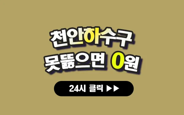 천안하수구막힘 천안싱크대막힘 천안변기막힘 천안고압세척 천안변기교체 천안하수구역류 천안누수탐지 뚫음 전문 설비업체 프로설비 썸네일