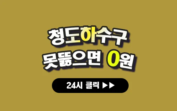 청도하수구막힘 청도싱크대막힘 청도변기막힘 청도고압세척 청도변기교체 청도하수구역류 청도누수탐지 뚫음 전문 설비업체 프로설비 썸네일