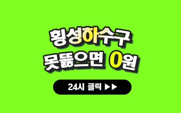 횡성하수구막힘 횡성싱크대막힘 횡성변기막힘 횡성고압세척 횡성변기교체 횡성하수구역류 횡성누수탐지 뚫음 전문 설비업체 프로설비 썸네일