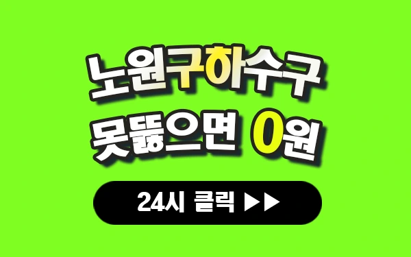 노원구하수구막힘 노원하수구막힘 노원구싱크대막힘 노원싱크대막힘 노원구변기막힘 노원변기막힘 프로설비 안내 이미지
