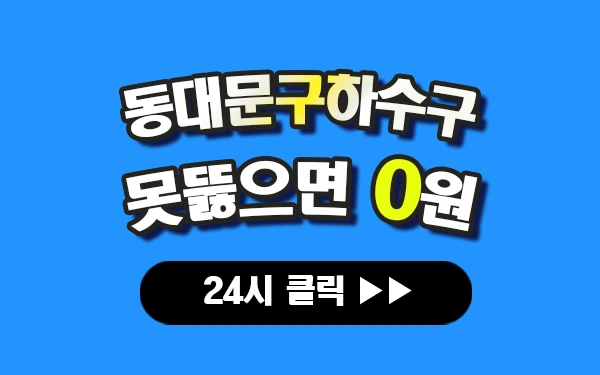 동대문구하수구막힘 동대문구싱크대막힘 동대문구변기막힘 동대문구고압세척 동대문구변기교체 동대문구하수구역류 동대문구누수탐지 뚫음 전문 설비업체 프로설비 썸네일