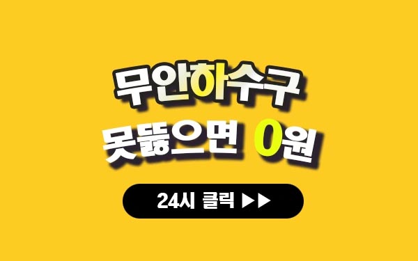 무안하수구막힘 무안싱크대막힘 무안변기막힘 무안고압세척 무안변기교체 무안하수구역류 무안누수탐지 뚫음 전문 설비업체 프로설비 썸네일