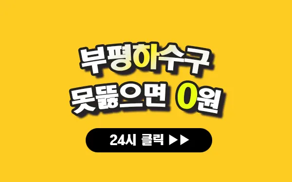 부평하수구막힘 부평싱크대막힘 부평변기막힘 부평고압세척 부평변기교체 부평하수구역류 부평누수탐지 뚫음 전문 설비업체 프로설비 썸네일