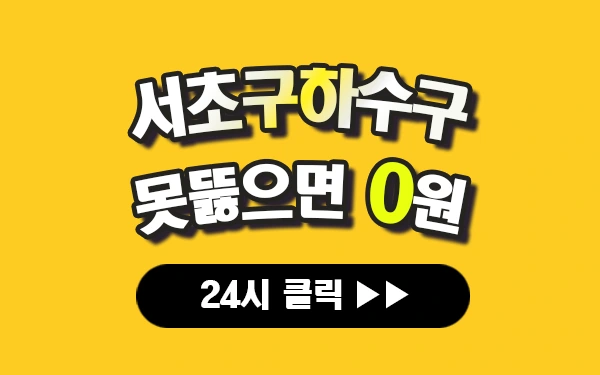 서초구하수구막힘 서초구싱크대막힘 서초구변기막힘 서초구고압세척 서초구변기교체 서초구하수구역류 서초구누수탐지 뚫음 전문 설비업체 프로설비 썸네일