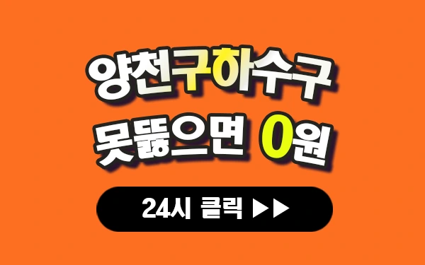 양천구하수구막힘 양천구싱크대막힘 양천구변기막힘 양천구고압세척 양천구변기교체 양천구하수구역류 양천구누수탐지 뚫음 전문 설비업체 프로설비 썸네일