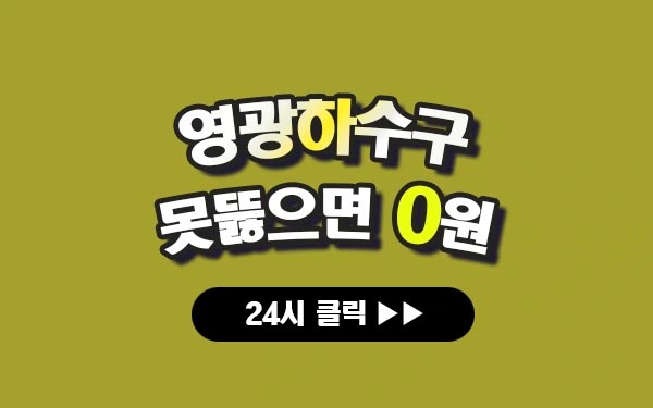 영광하수구막힘 영광싱크대막힘 영광변기막힘 영광고압세척 영광변기교체 영광하수구역류 영광누수탐지 뚫음 전문 설비업체 프로설비 썸네일