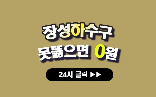 장성하수구막힘 장성싱크대막힘 장성변기막힘 장성고압세척 장성변기교체 장성하수구역류 장성누수탐지 뚫음 전문 설비업체 프로설비 썸네일