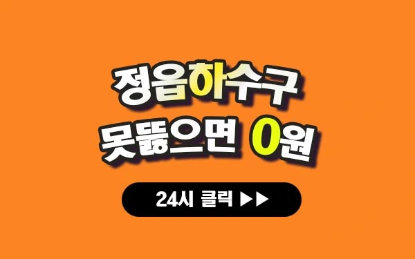 정읍하수구막힘 정읍싱크대막힘 정읍변기막힘 정읍고압세척 정읍변기교체 정읍하수구역류 정읍누수탐지 뚫음 전문 설비업체 프로설비 썸네일