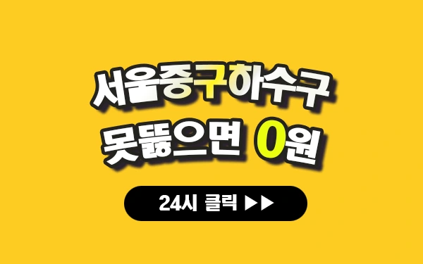 서울중구하수구막힘 서울중구싱크대막힘 서울중구변기막힘 서울중구고압세척 서울중구변기교체 서울중구하수구역류 서울중구누수탐지 뚫음 전문 설비업체 프로설비 썸네일