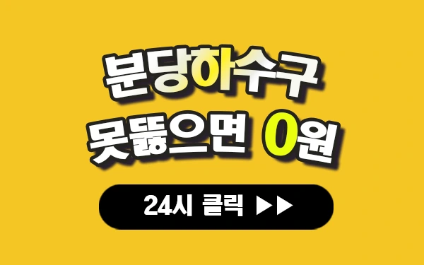 분당하수구막힘 분당싱크대막힘 분당변기막힘 분당고압세척 분당변기교체 분당하수구역류 분당누수탐지 뚫음 전문 설비업체 프로설비 썸네일